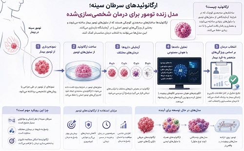 ارگانوئید